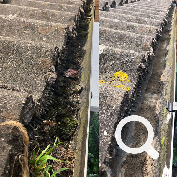 Gutter & Fascia Cleaning